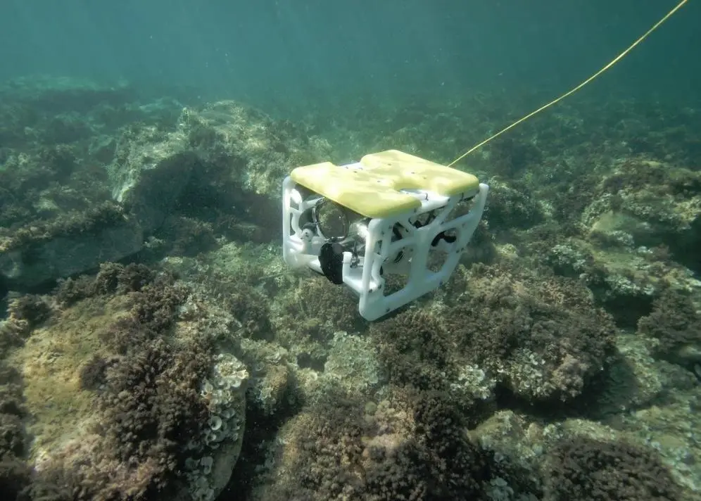 Sibiu Nano from Nido Robotics