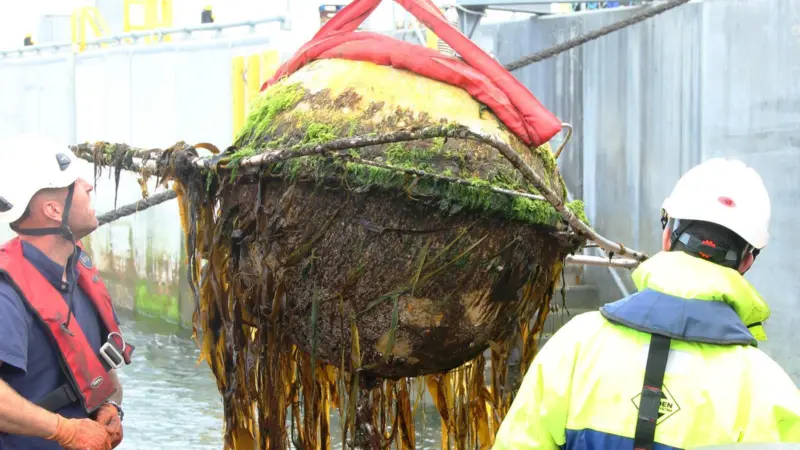 The project aims to tackle to tackle biofouling in the marine renewable energy sector Photo: Andrew Want