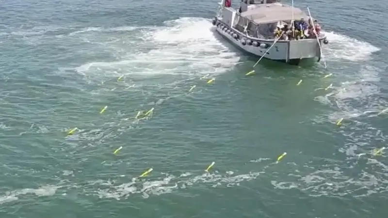 A swarm of SwarmDivers returns to the mother ship
