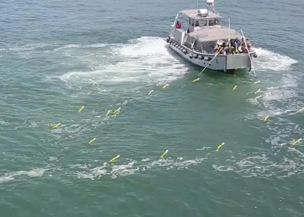 A swarm of SwarmDivers returns to the mother ship