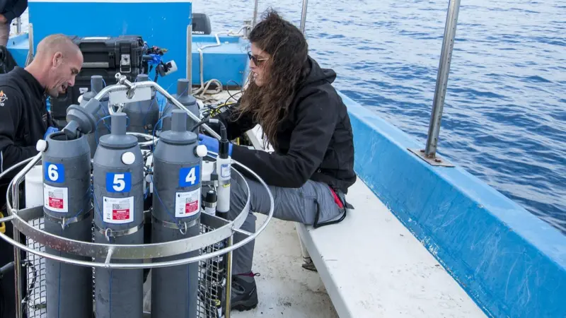 Nutrient concentration sampling