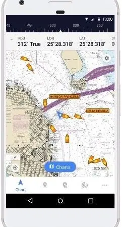 The radius of the AIS data provided is 30 nautical miles from the device