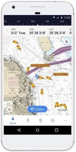 The radius of the AIS data provided is 30 nautical miles from the device