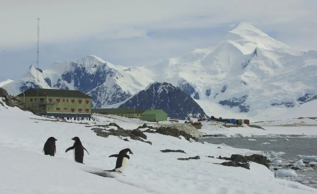 The Island RIBs boats will assist in monitoring a specific site on the Antarctic Peninsula that is suffering from a rapid rate of climate change
