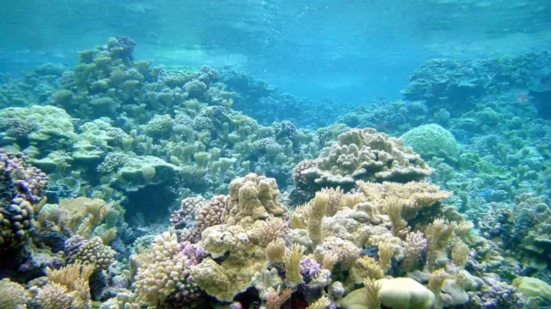 Maritime data can be used to prosper, create value and safeguard our oceans Photo: NOAA