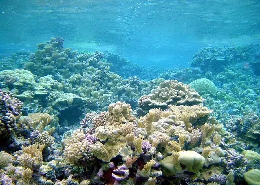 Maritime data can be used to prosper, create value and safeguard our oceans Photo: NOAA