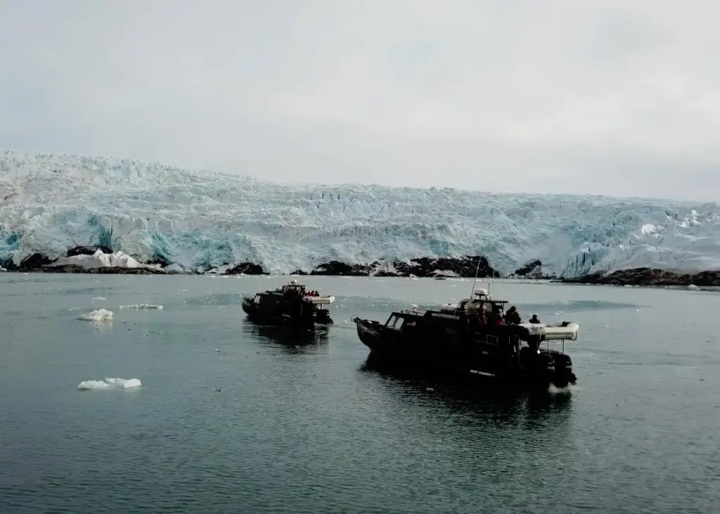 The Redbay RIBs operated by Better Moments were chosen for their proven seaworthiness in this region