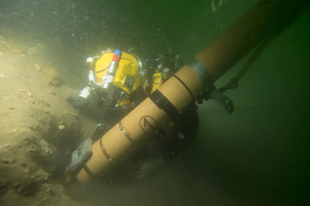 Examining the 'Rooswijk'