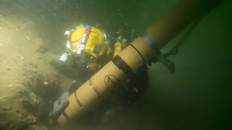 Examining the 'Rooswijk'