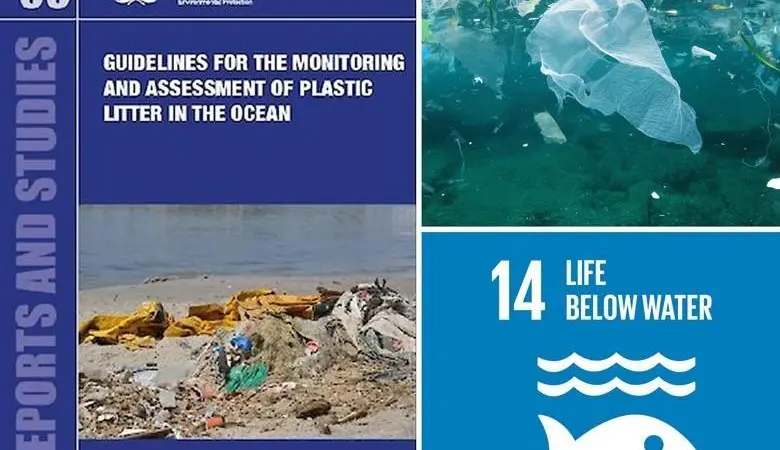 marine litter guidelines