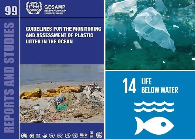 marine litter guidelines