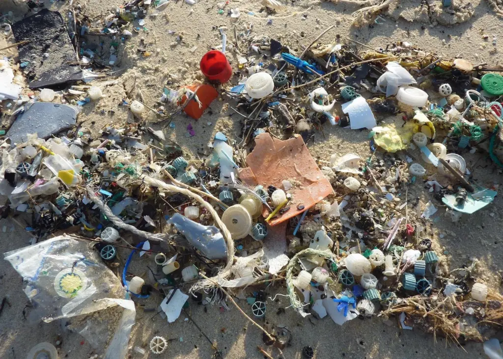 Marine plastic pollution