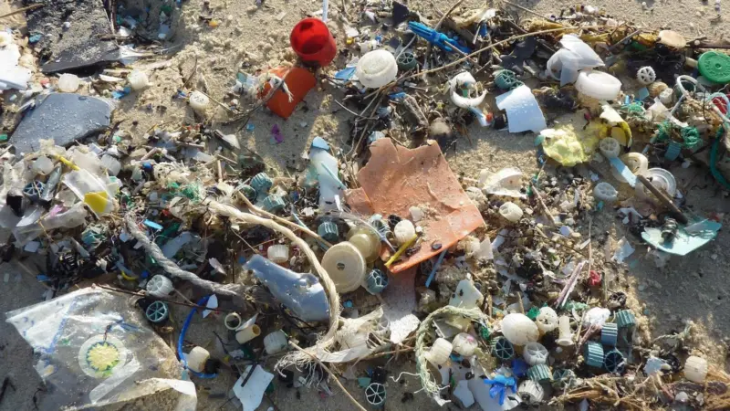 Marine plastic pollution