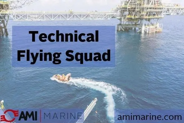 AMI will be promoting its Technical Flying Squad offering at Seawork 2019