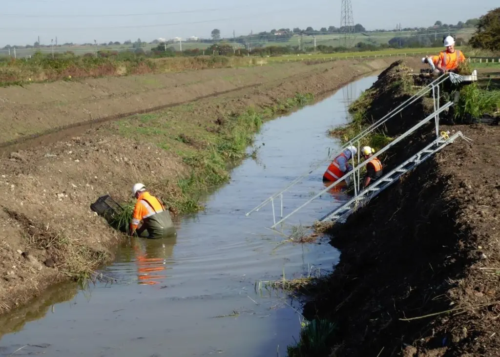 TES was contracted to plant up newly created ditches