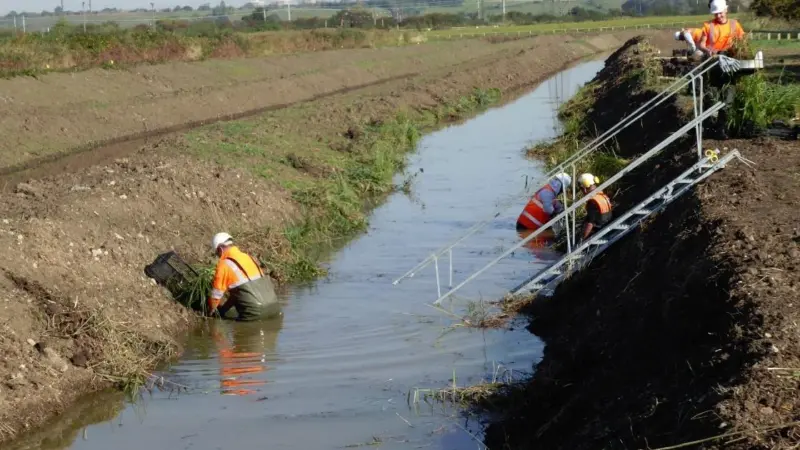 TES was contracted to plant up newly created ditches