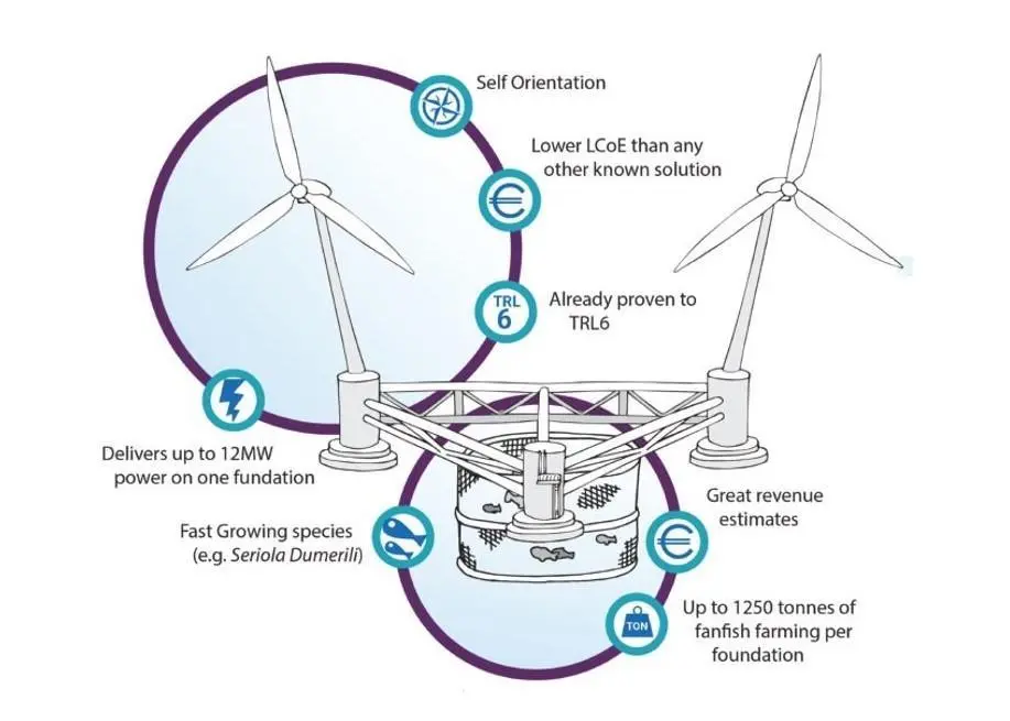 ENTROPI research model
