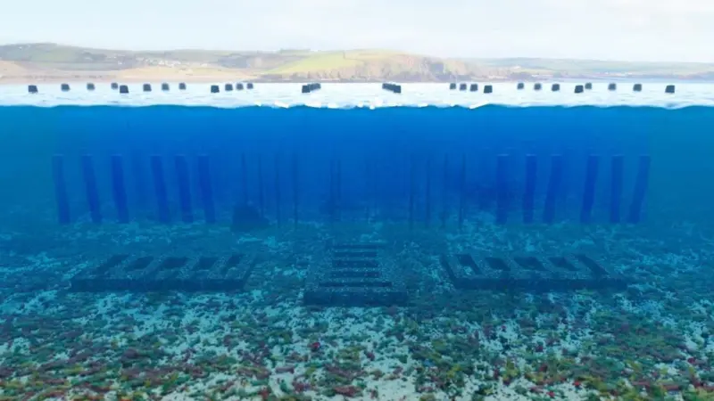 Reef Cubes use a robust and simple interlocking modular system that is ideal for restoring complex marine environments