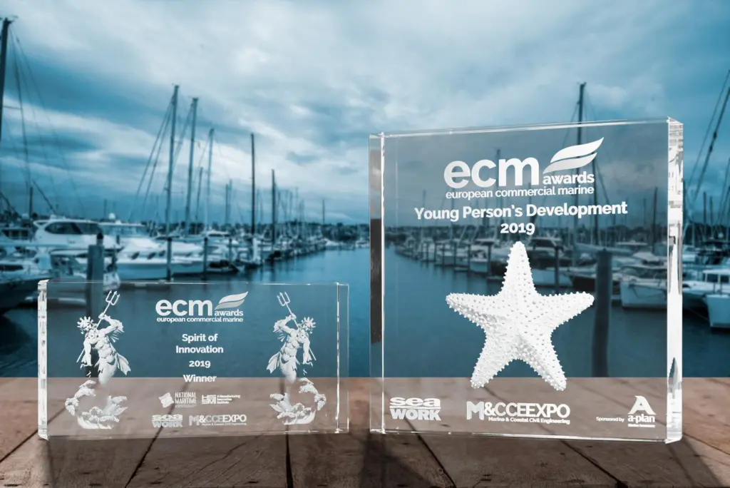 The  3D images in the 'Spirit of Innovation' and 'Young Person's Development' award were created by laser-etching in crystal