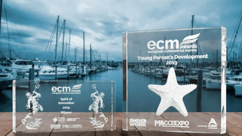 The  3D images in the 'Spirit of Innovation' and 'Young Person's Development' award were created by laser-etching in crystal