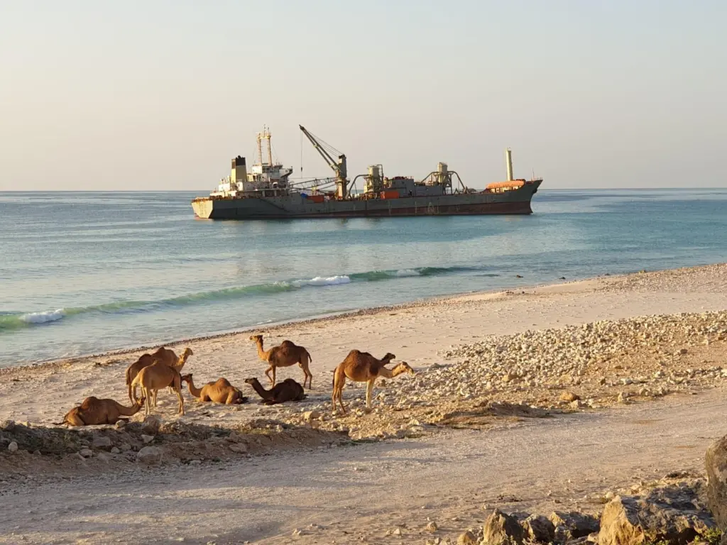 The fully-laden cement carrier was removed from the beach in one piece (Resolve Marine)