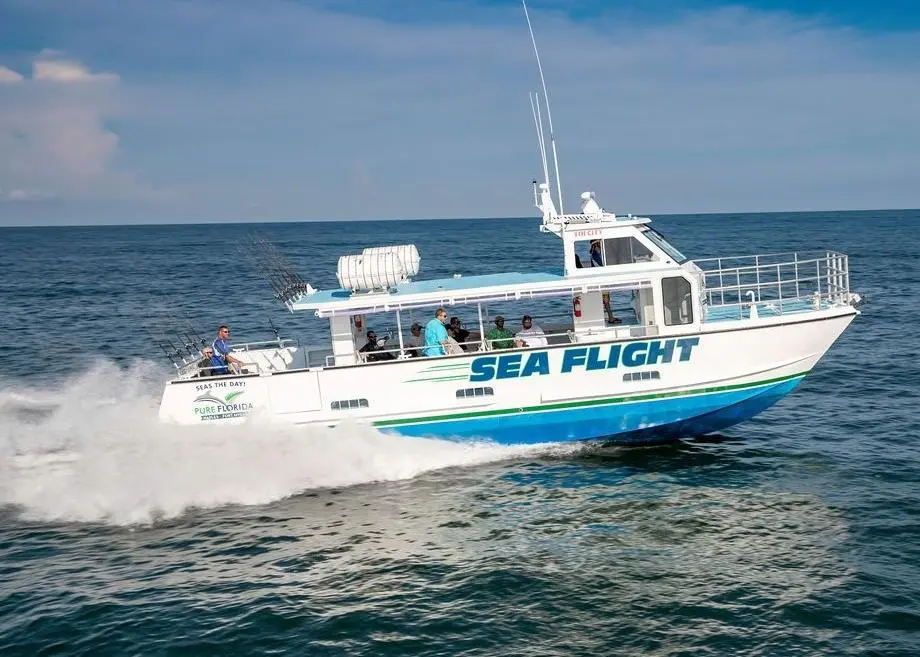'Sea Flight' cruises at speeds in excess of 30 knots