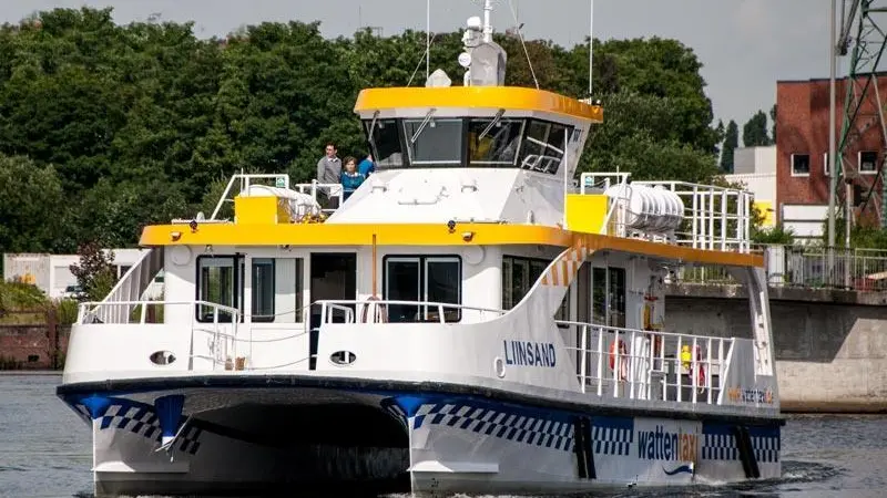 Filling an Elbe Estuary gap: Liinsand
