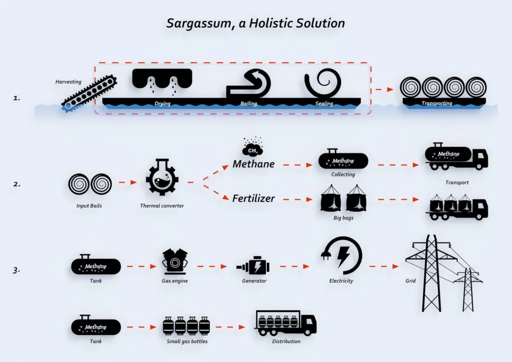 00_55664_Sargassum2C-a-holistic-solution