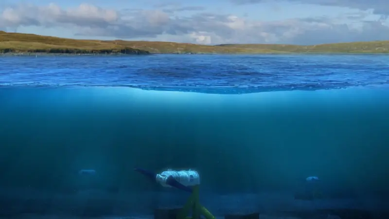 tidal turbines