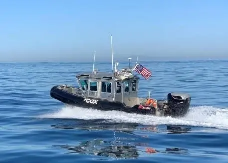 CXO300 demo