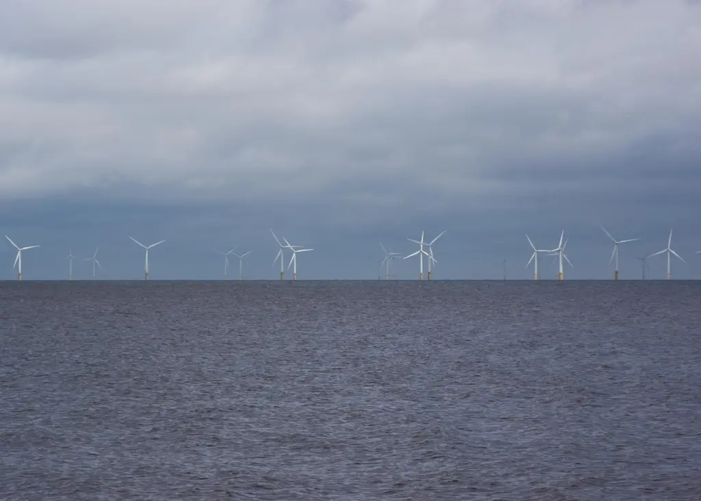 Offshore wind farm