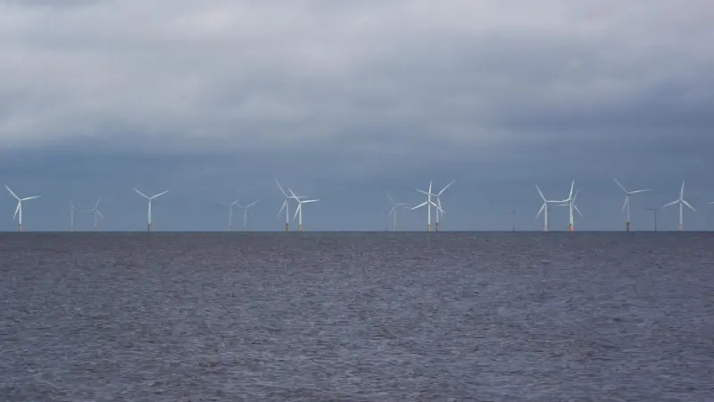 Offshore wind farm