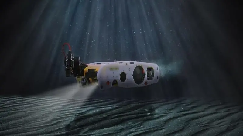 Sea Wasp is a small and flexible ROV which can be used for a wide range of underwater operations