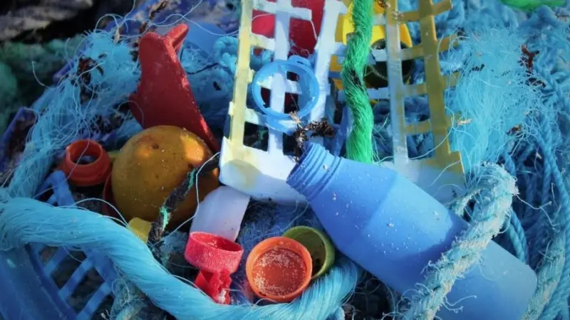 A new technique uses satellite data to differentiate plastics from  more harmless flotsam