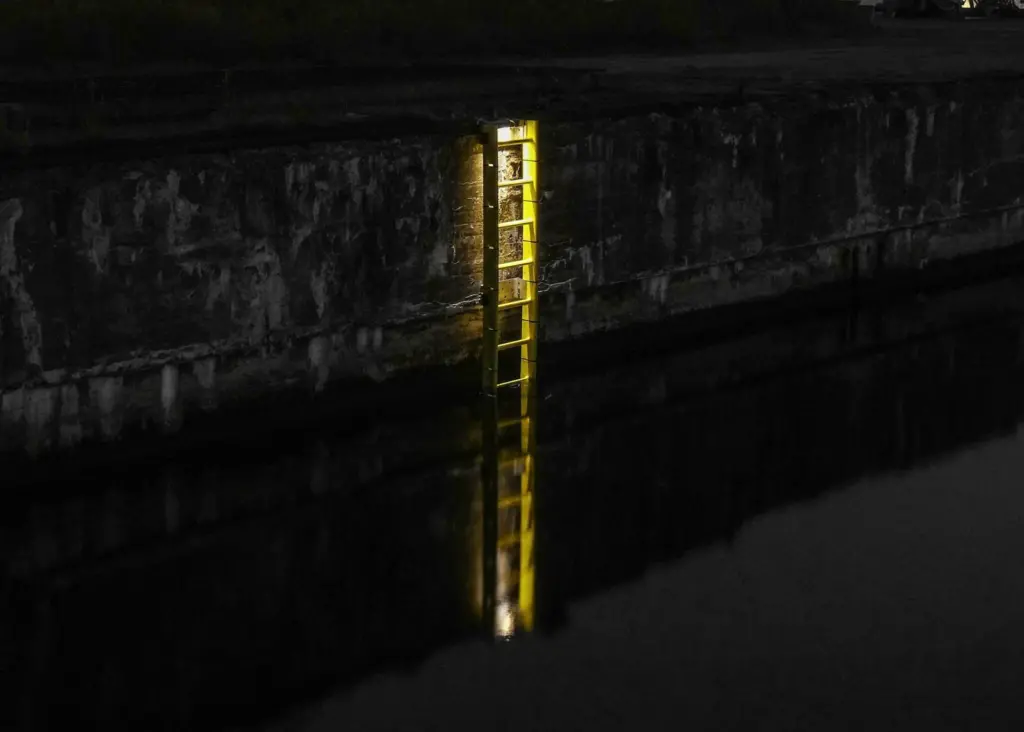 LifeLadder