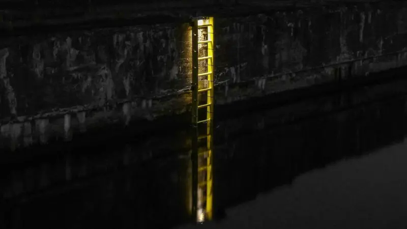 LifeLadder