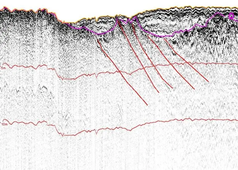 Example profile (Aspect Surveys)
