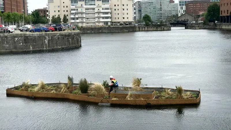 floating ecosystem