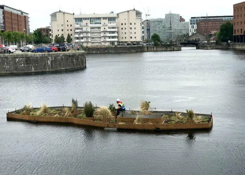 floating ecosystem