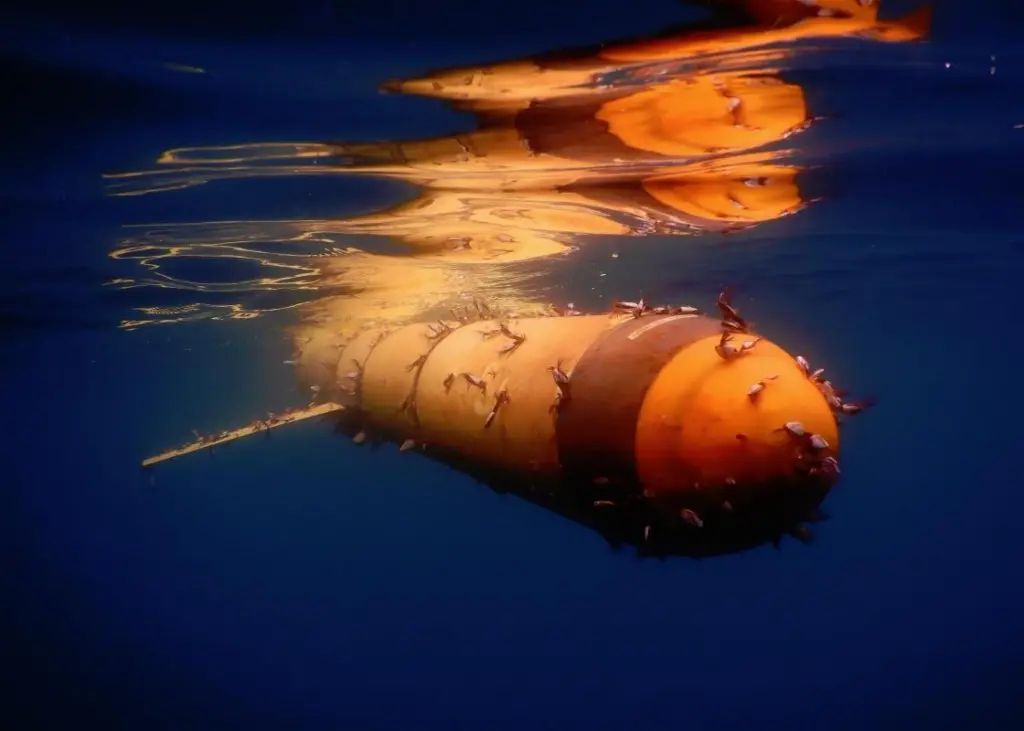 AUV 'Silbo' flexes its mussels after 1,273 days at sea