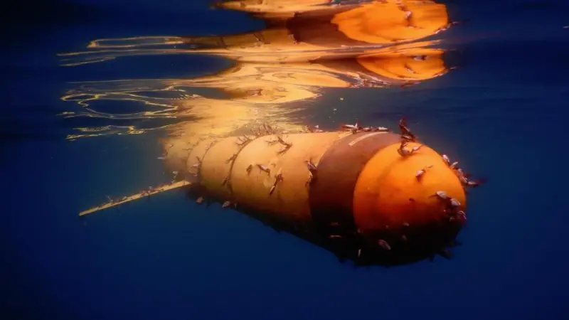 AUV 'Silbo' flexes its mussels after 1,273 days at sea