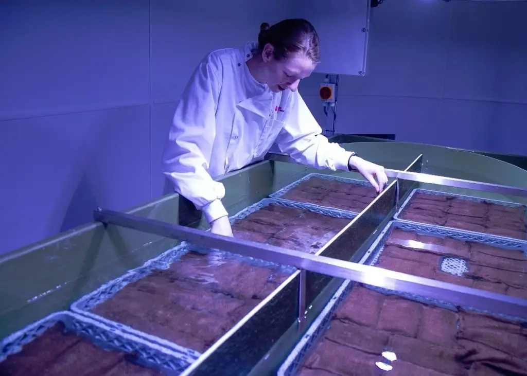 Led by Natural England the project has received £1.5 million funding from the EU LIFE Programme