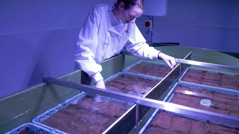 Led by Natural England the project has received £1.5 million funding from the EU LIFE Programme