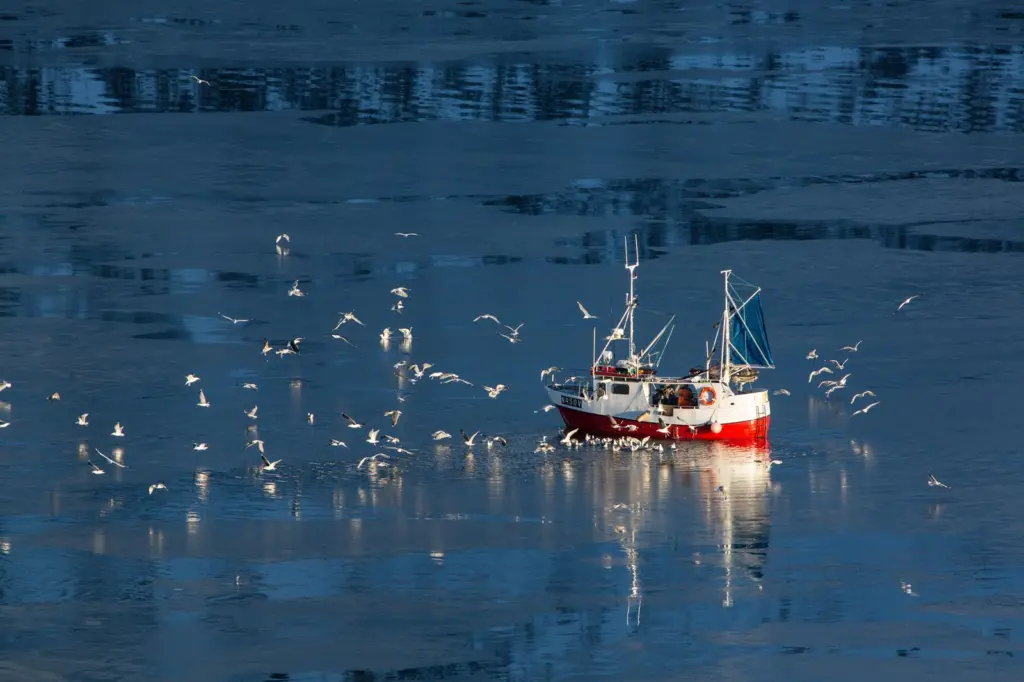 00_57592_shutterstock_587289335_fishing