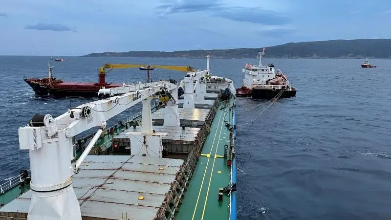 Activities for Tsavliris include responding to a collision between two loaded bulkers (Tsavliris)