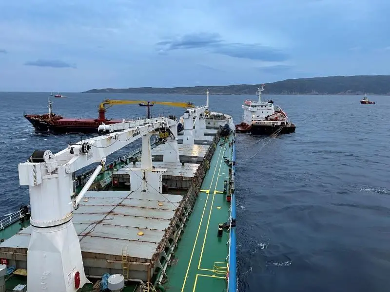 Activities for Tsavliris include responding to a collision between two loaded bulkers (Tsavliris)