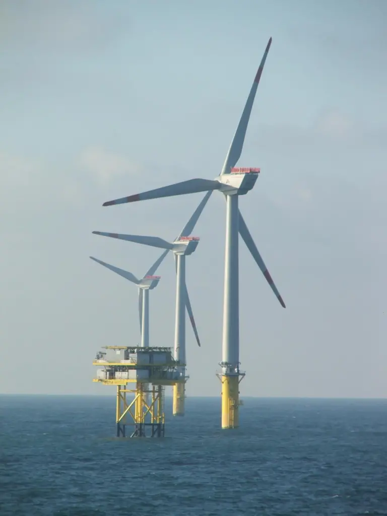 The year 2021 was another record year for the sector both for capacity and vessel demand