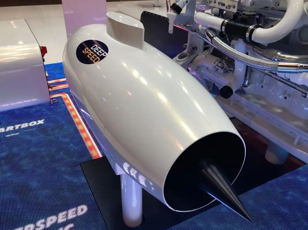 deepspeed