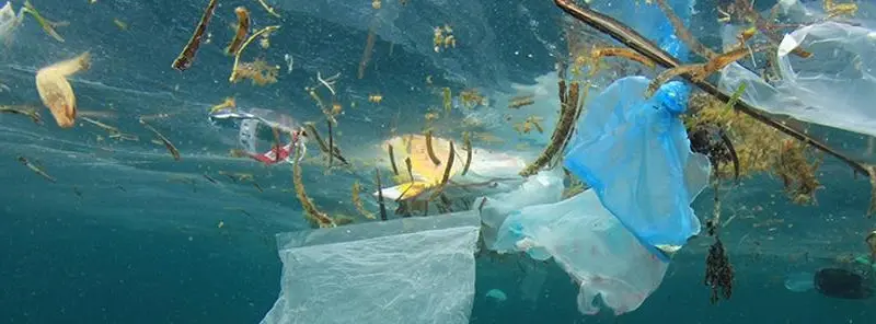 plastic litter image