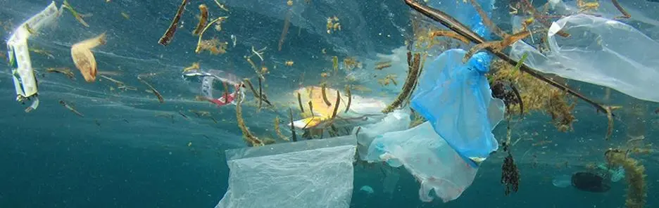plastic litter image